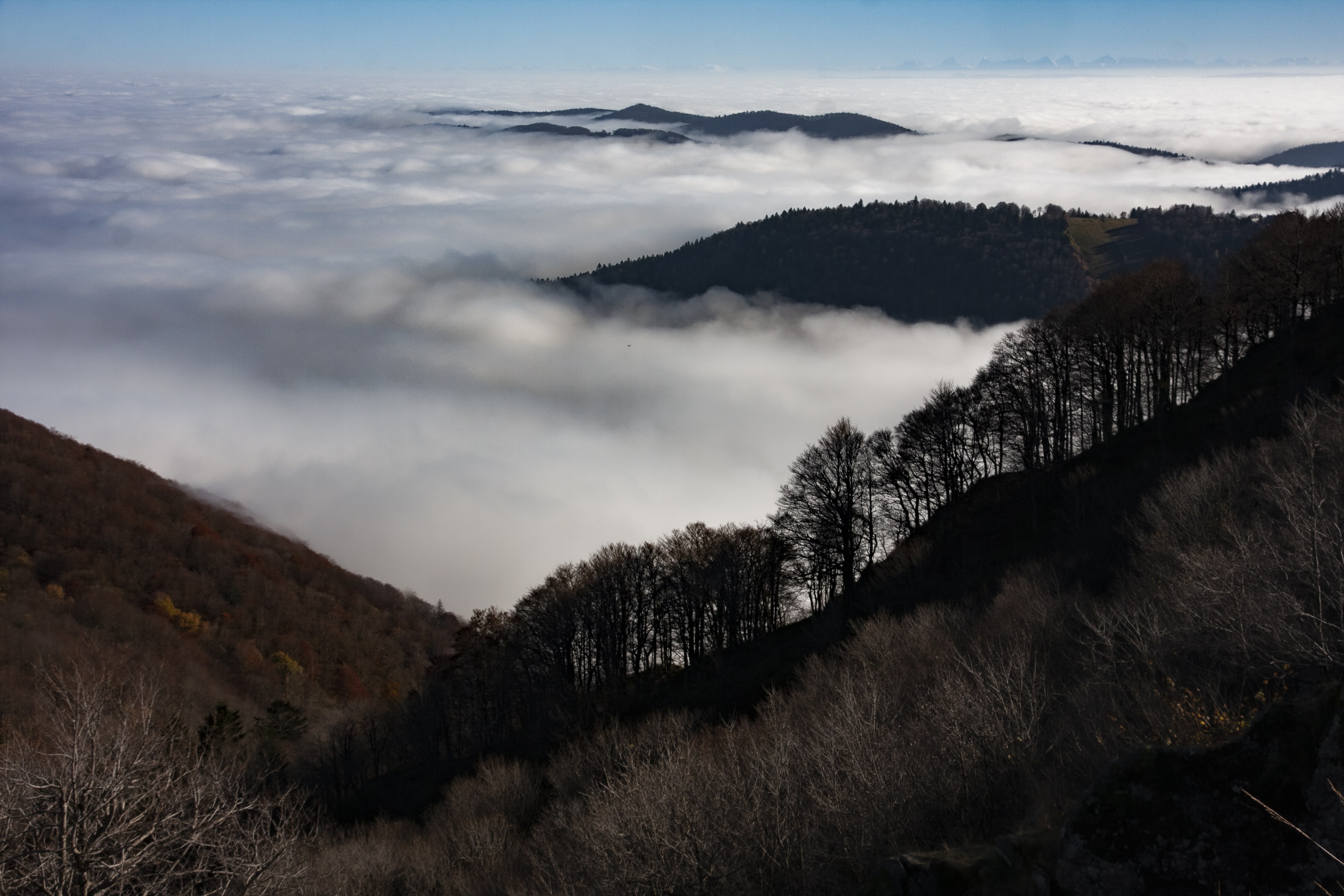 Randonnée en montagne